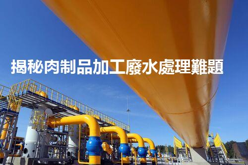 揭秘肉制品加工廢水處理難題！高效低耗的秘訣究竟是什么？